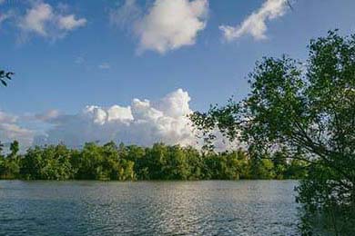 Aster与其他战队激烈对抗，aster队伍